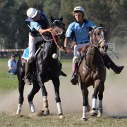 Polocrosse carnival a success